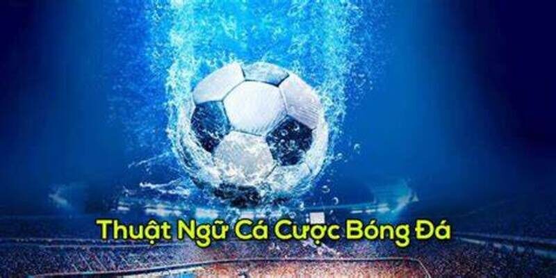 Các thuật ngữ cá độ cơ bản nhất